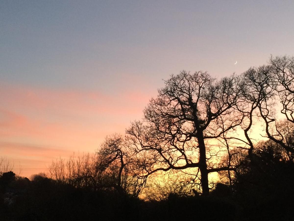 Willow Valley Glamping Bude Exterior foto